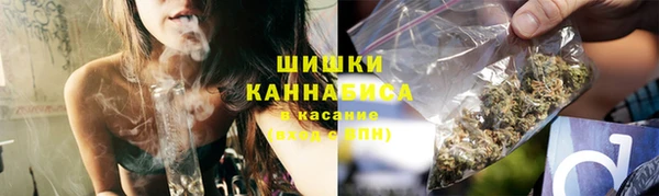 шишки Алексин