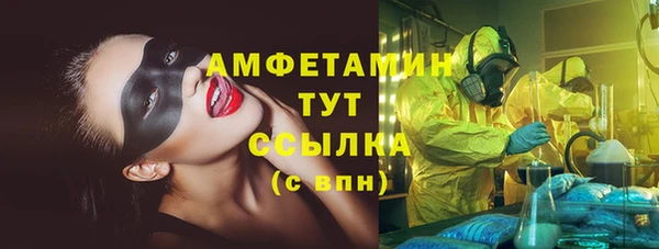 шишки Алексин
