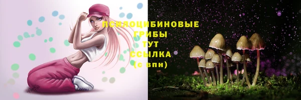 a pvp Алзамай