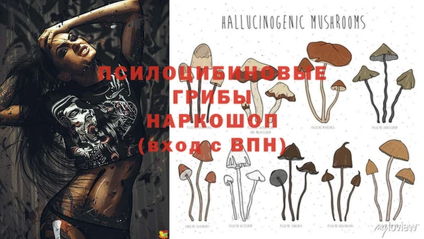 a pvp Алзамай