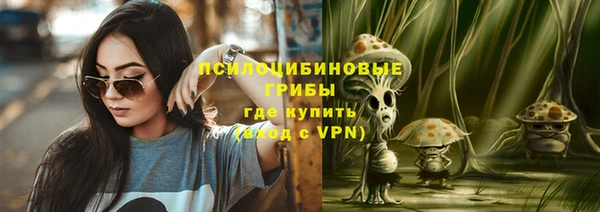 a pvp Алзамай